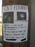 FoundCatFlyer