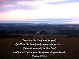 pasturescripture.jpg image by remendez