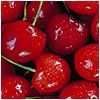 Cherries